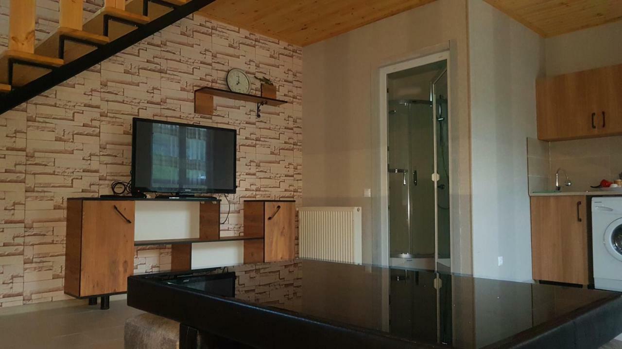 Levani'S Cottage Borjomi Eksteriør billede